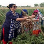 हसीन जहां पुहंची टमाटर के खेत में