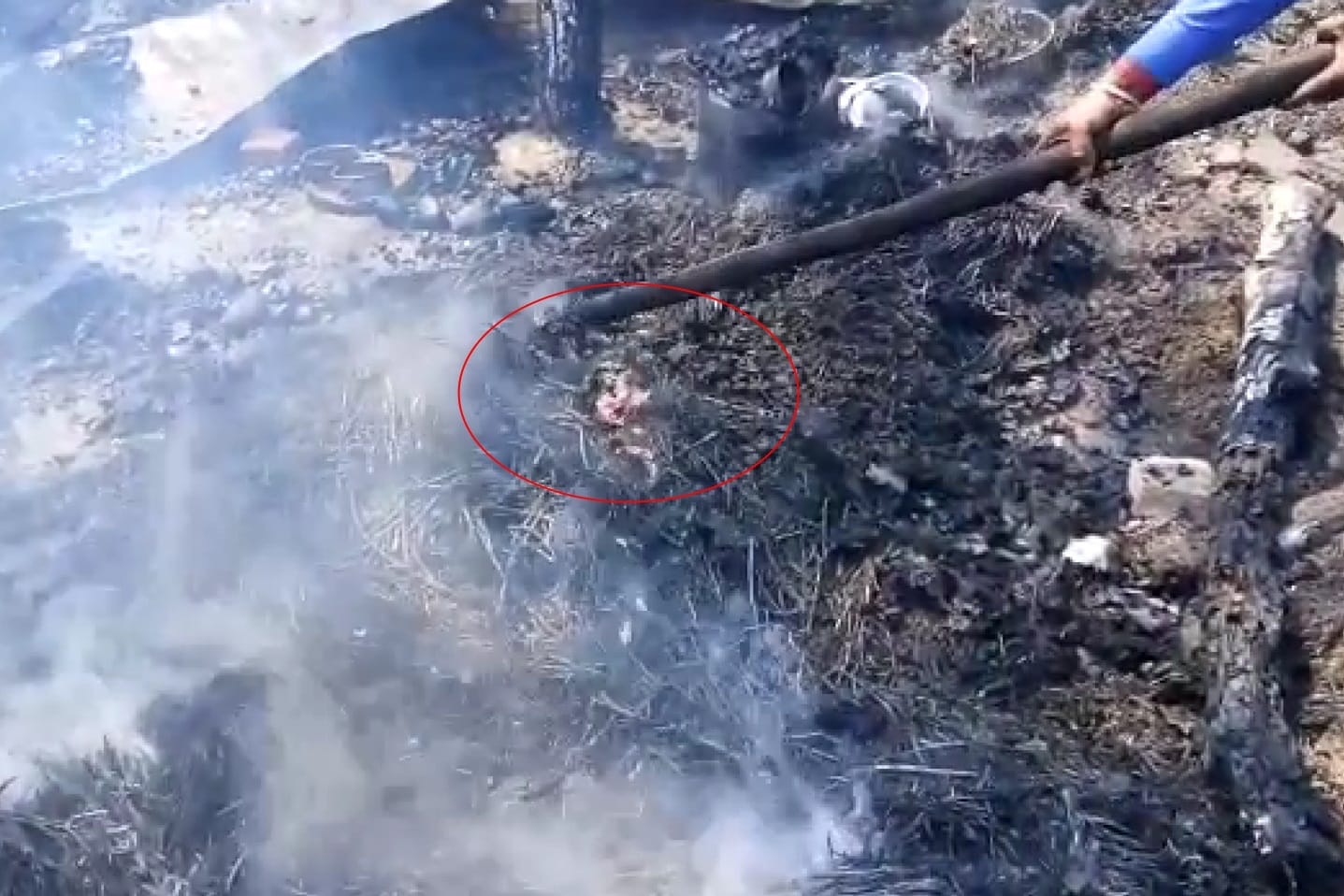 Newborn Burnt alive during fire broke out in huts emotional photos