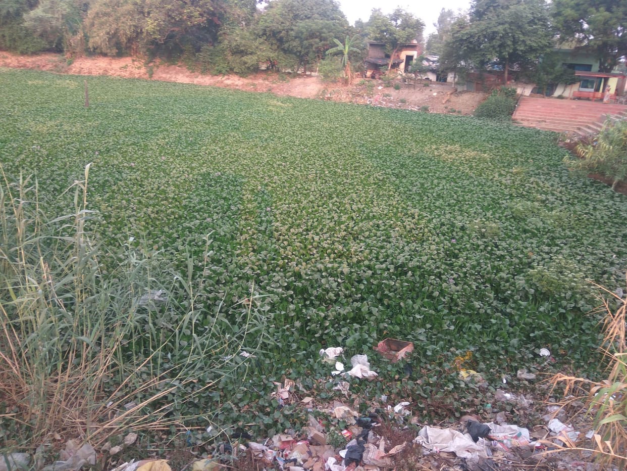 Youth dies by drowning after falling in puddle at sant kabir nagar