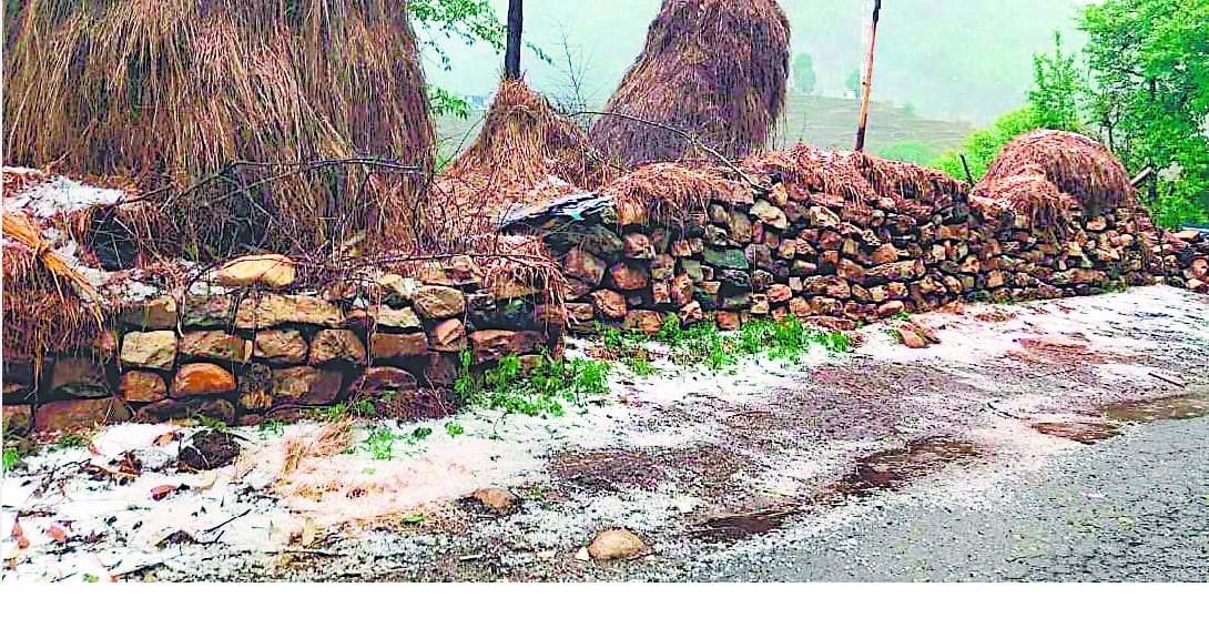 askot mein bhaaree baarish, olaavrshti se phasal tabaah