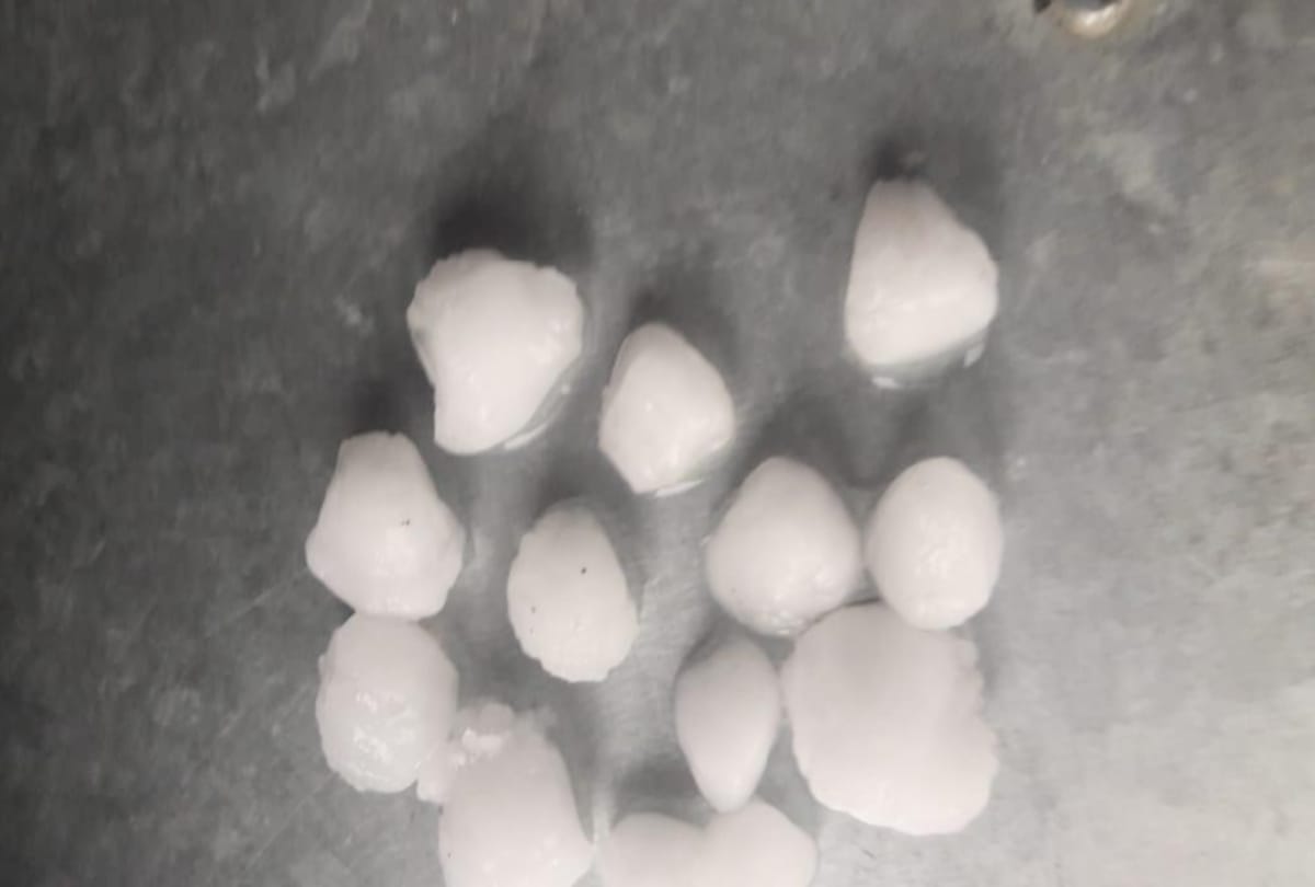 apple crop damaged in himachal due to heavy hailstorm