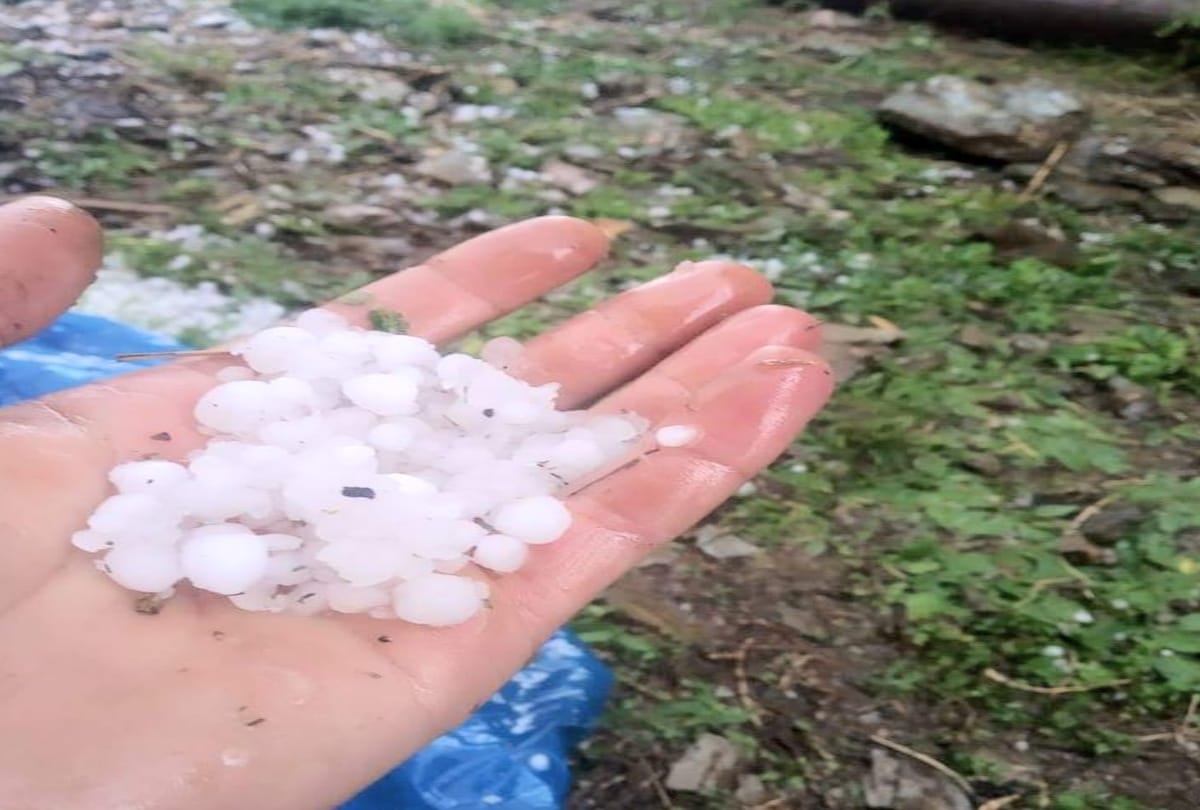 Haryana Weather Forecast, Rain May Be With Hailstorm