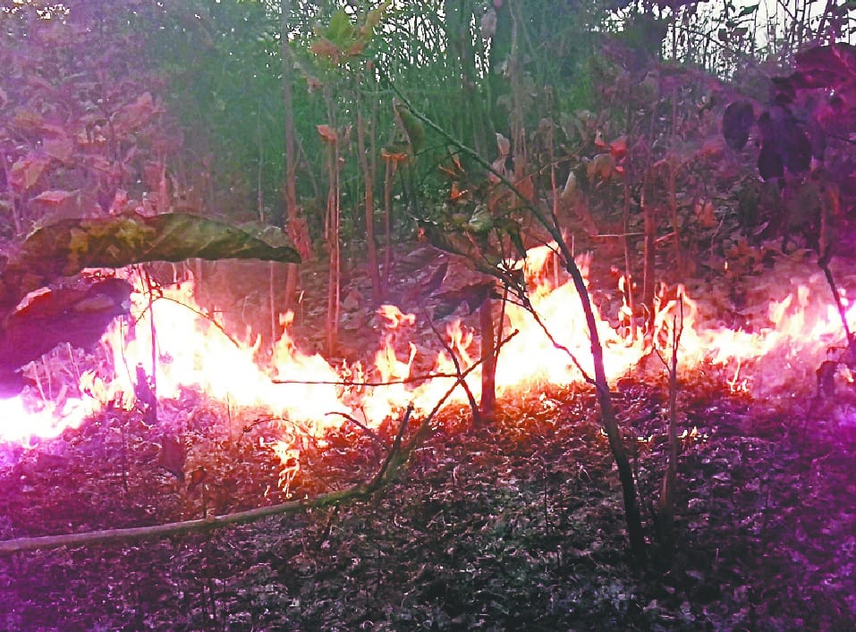 A fire in the Sahuwala forest range