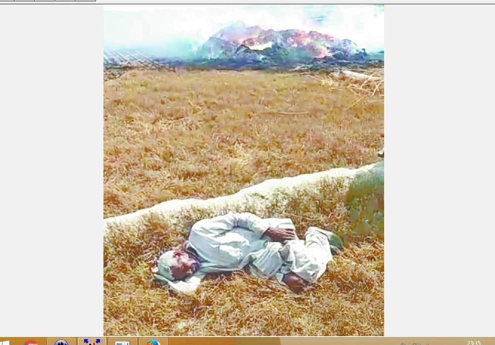 गेहूं जलता देख गश खाकर गिरे किसान, एक को पड़ा दिल का दौरा