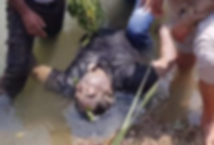 india's third largest rice exporter rohit garg dead body found from sonipat canal