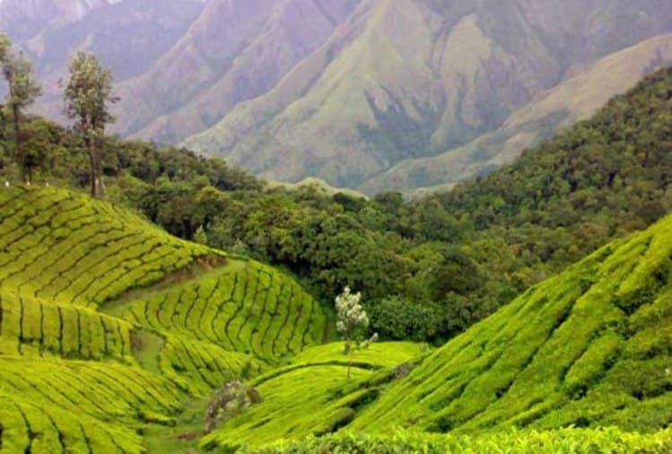 ऊटी के 'ट्रांसपैरेंट टेंट' का उठाएं लुत्फ, पार्टनर के साथ तारों की छांव