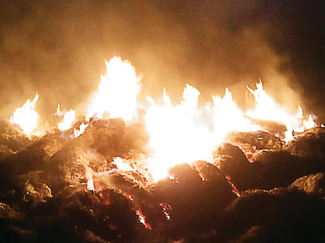 One lakh crops of ash in the barn fire