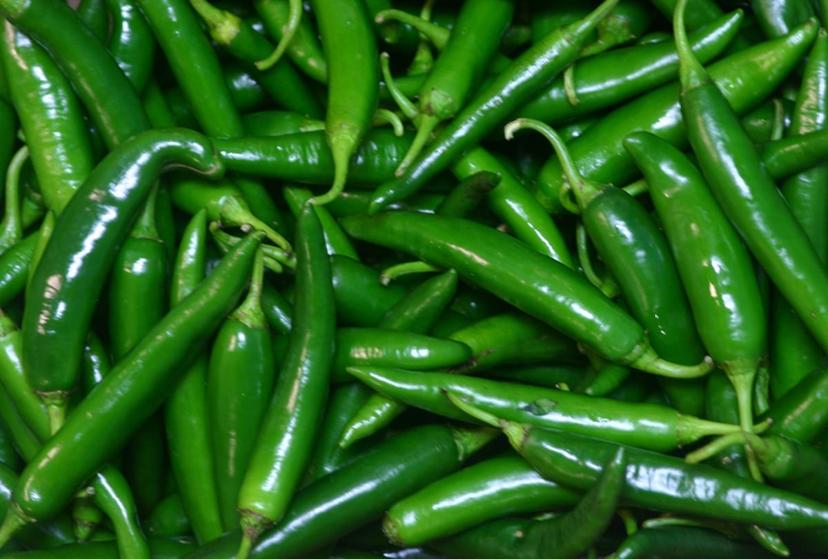 benefits of green chillies in summer