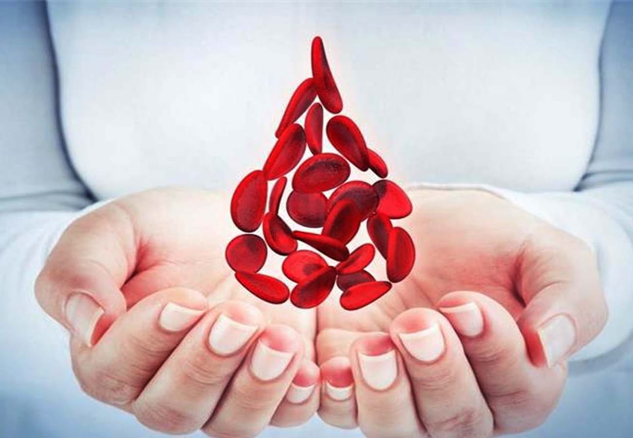 necessary information about inside of the body