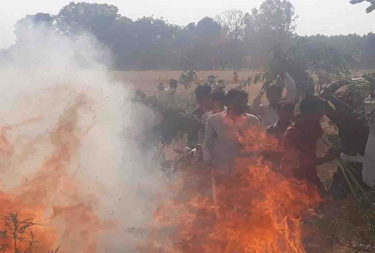 wheat crop burned in kanpur