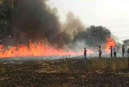 wheat crop burned in kanpur