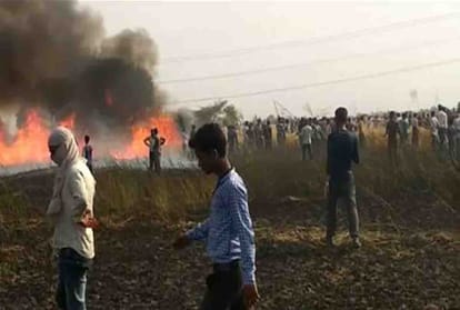 wheat crop burned in kanpur