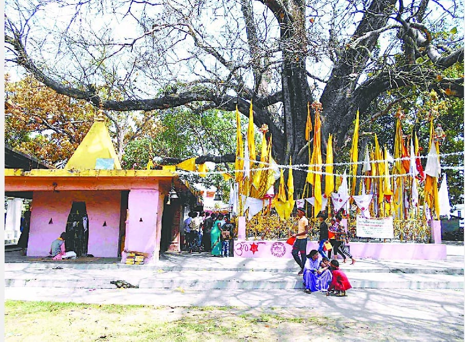 Business also increases during Poornagiri Fair