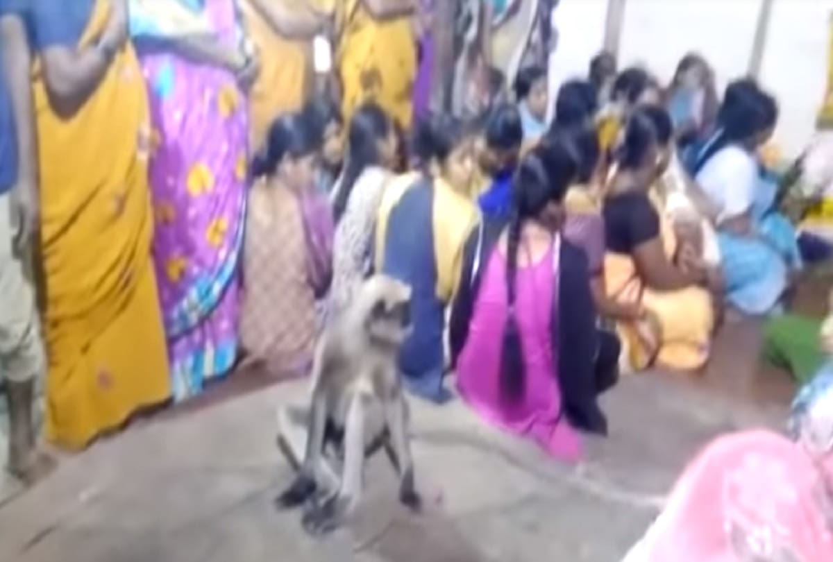 monkey conslong a crying woman during a funeral in karnataka nargund village video viral
