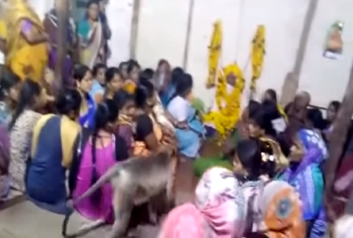 monkey conslong a crying woman during a funeral in karnataka nargund village video viral