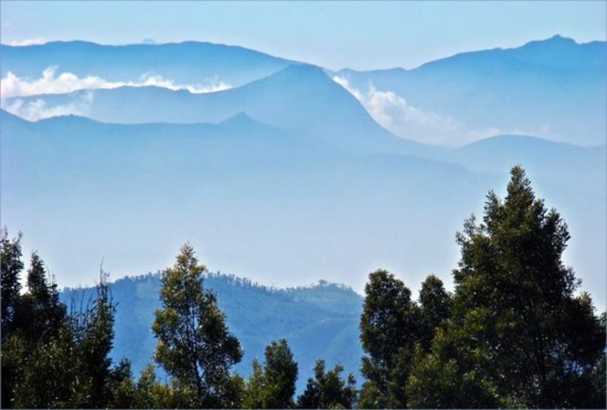 ooty best honeymoon destination