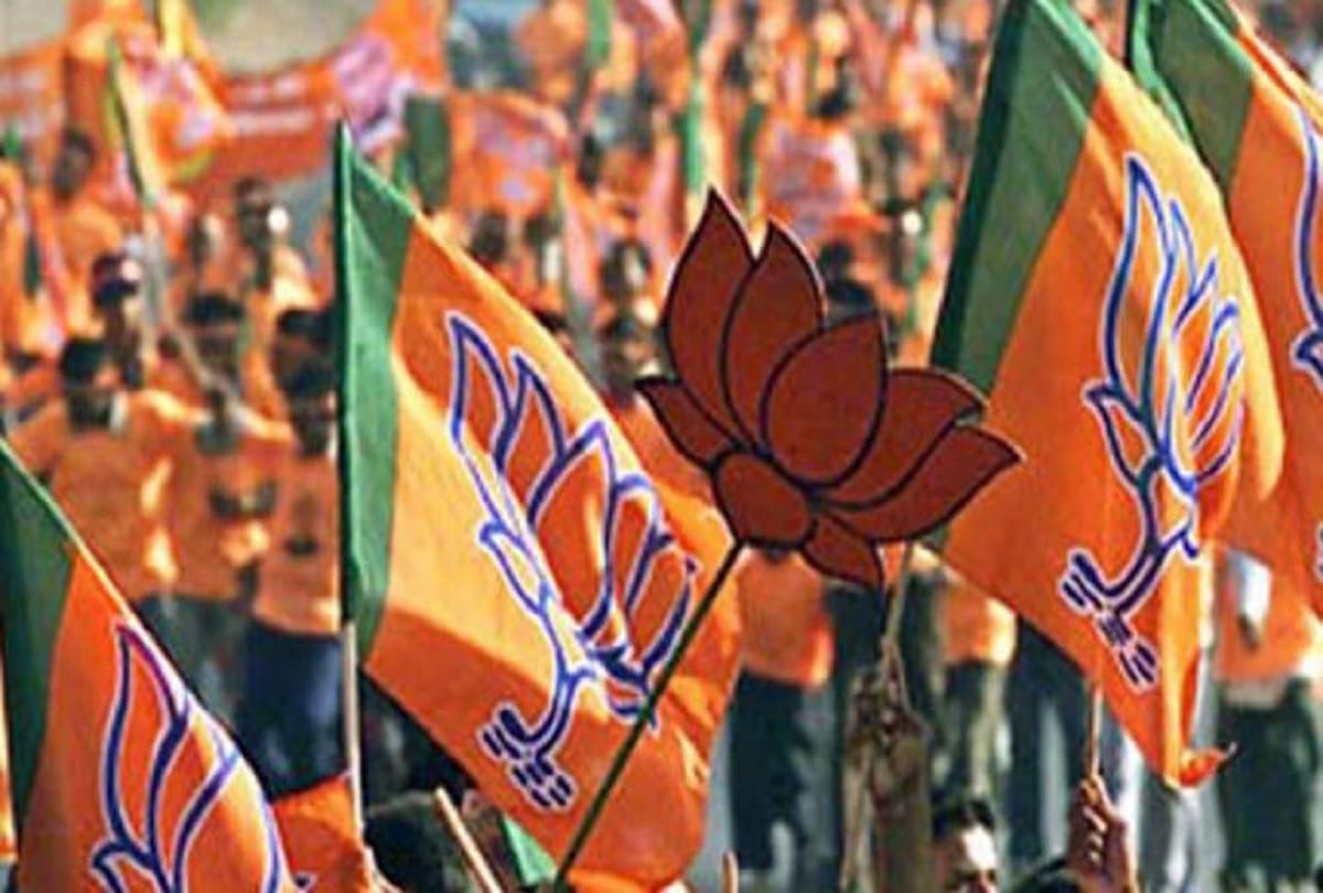 Lok Sabha Elections 2019 this is how BJP made balance while distributing tickets between castes.