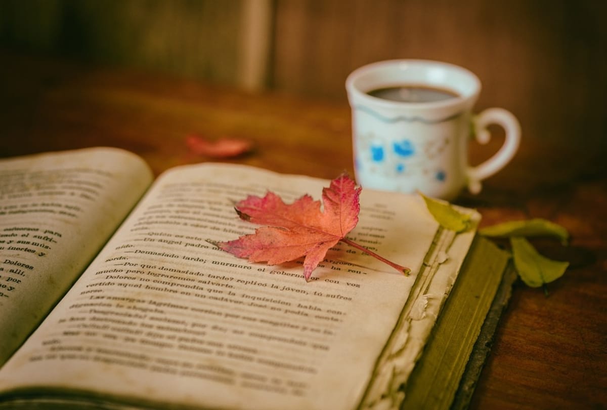 world book day 2019 know about interesting history importance theme