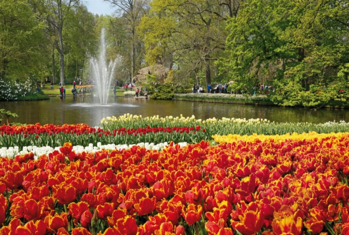 netherland best destination for tour