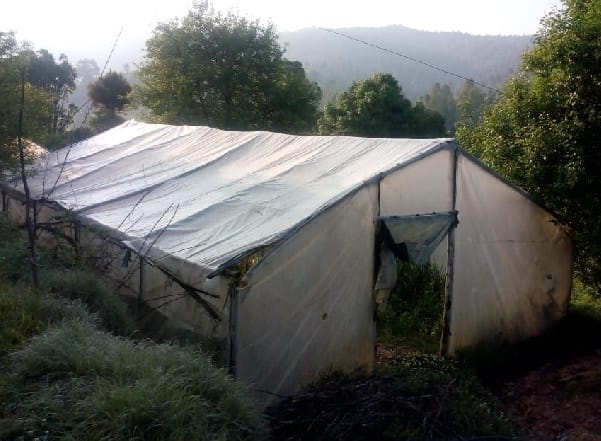 Many polyhouses damaged in hailstorm