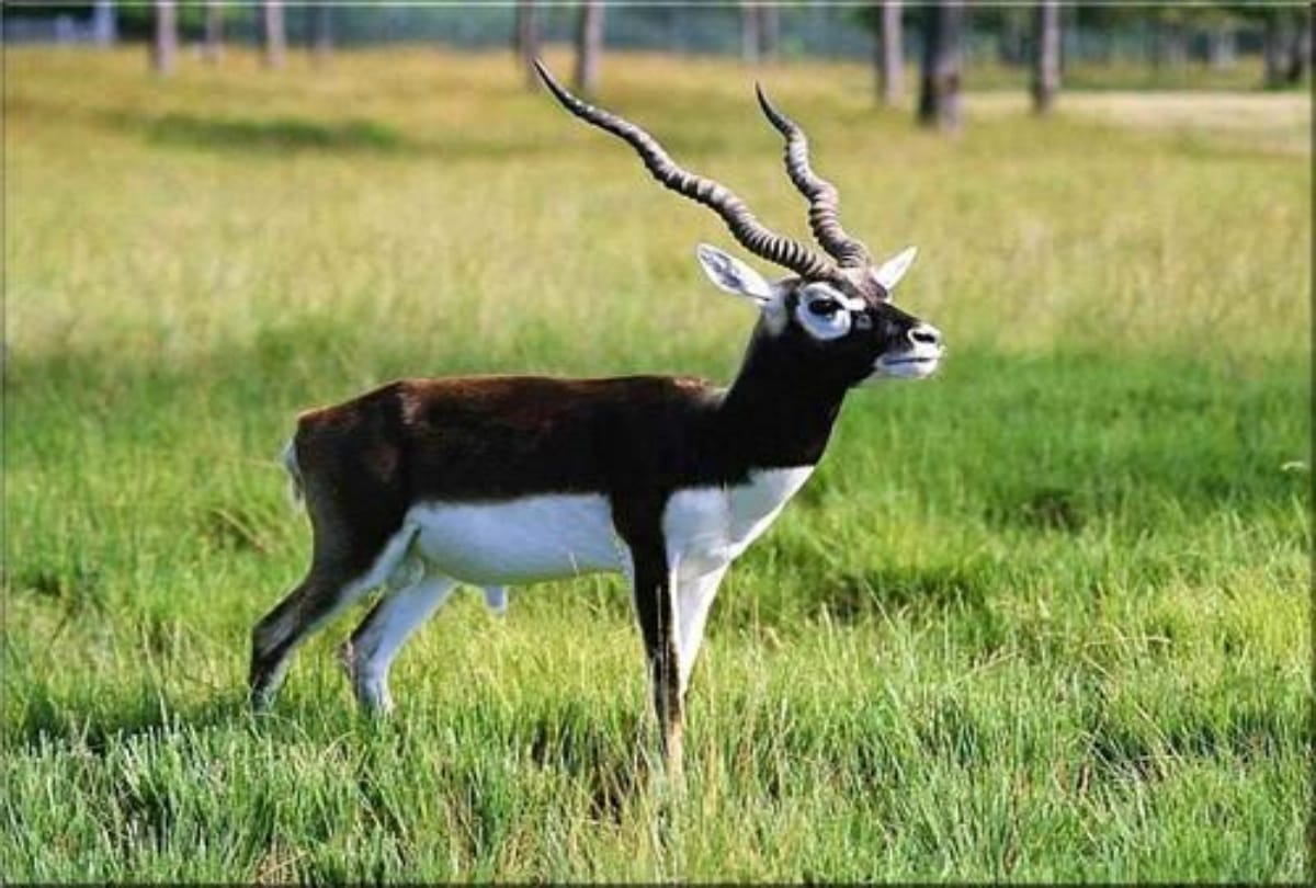 abohar best destination in punjab