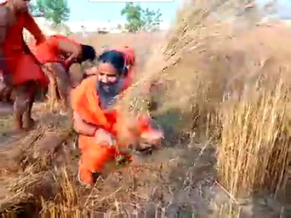 Baba Ramdev cut wheat crop very fast in haridwar
