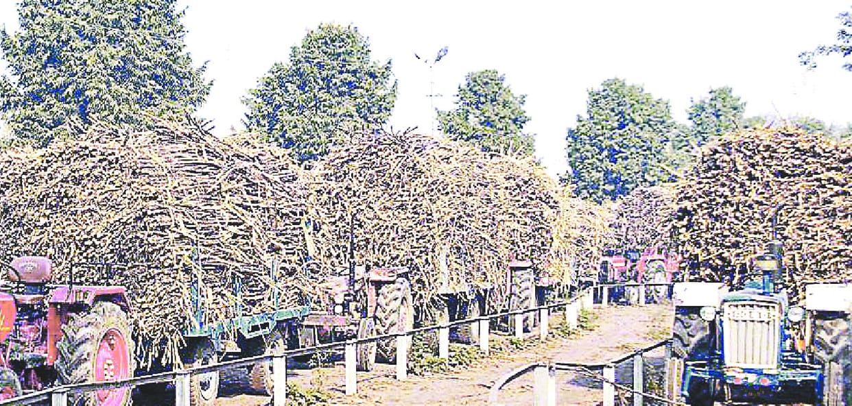 chini mill ka peraai str antim charan me