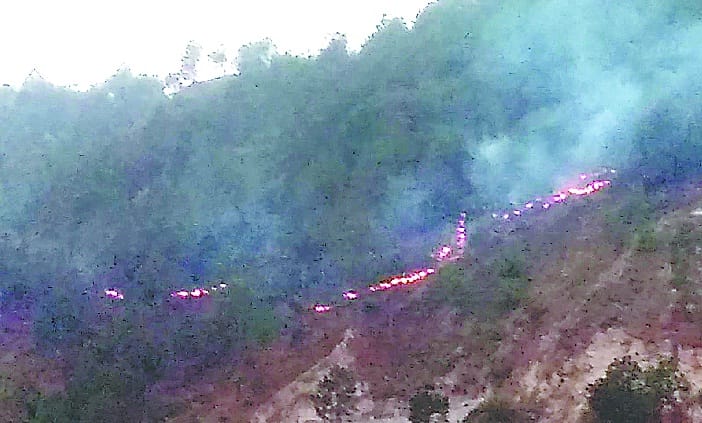 Fire in the  kadholi dhoora forest