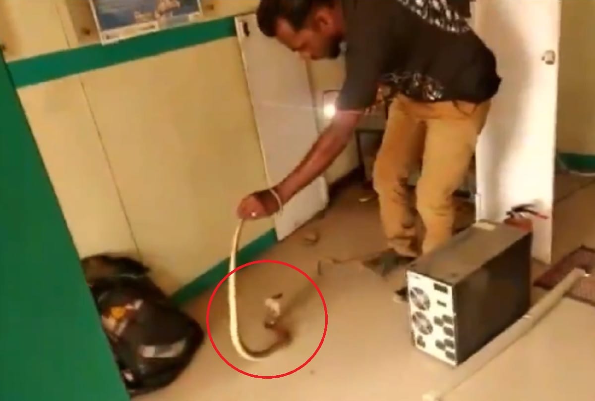 Snake found inside an ATM near Thaneerpandal Road in Coimbatore Tamilnadu Video Viral