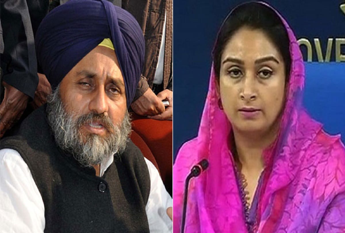 Harsimrats hatrick is not easy in lok sabha election 2019