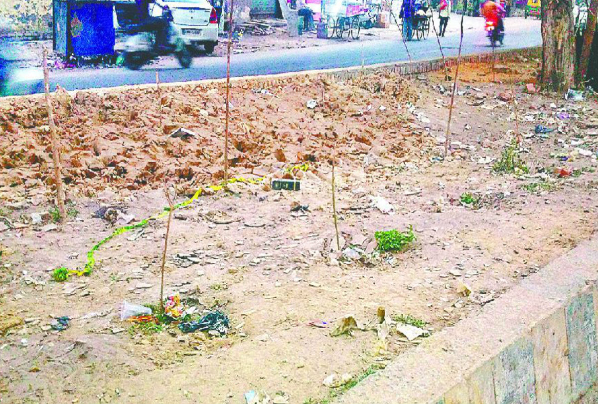 tree scam in agra van vibhag no jio tagging by department