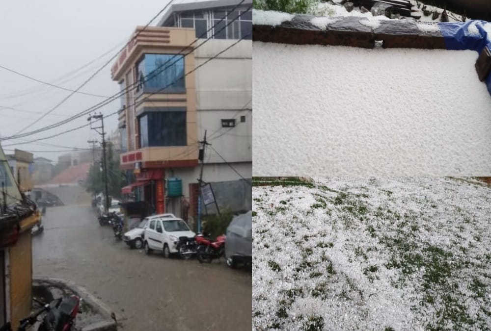 Heavy rainfall and hailstorm crops waste in uttarakhand photos 