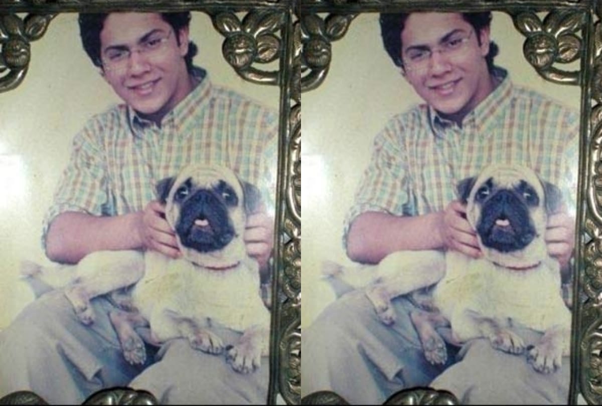 varun dhawan new look mr lele here see transformation look