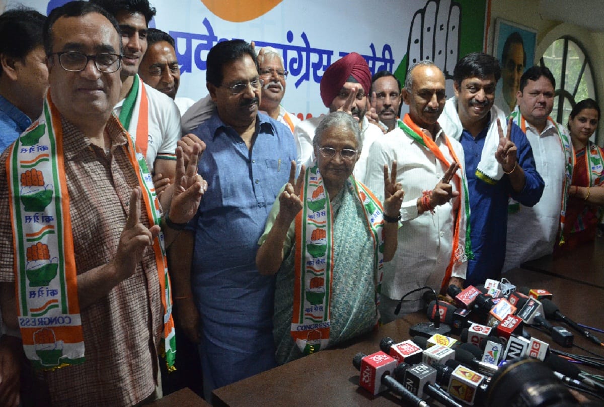 lok sabha elections 2019 we have to work hard for win in delhi says sheila dixit
