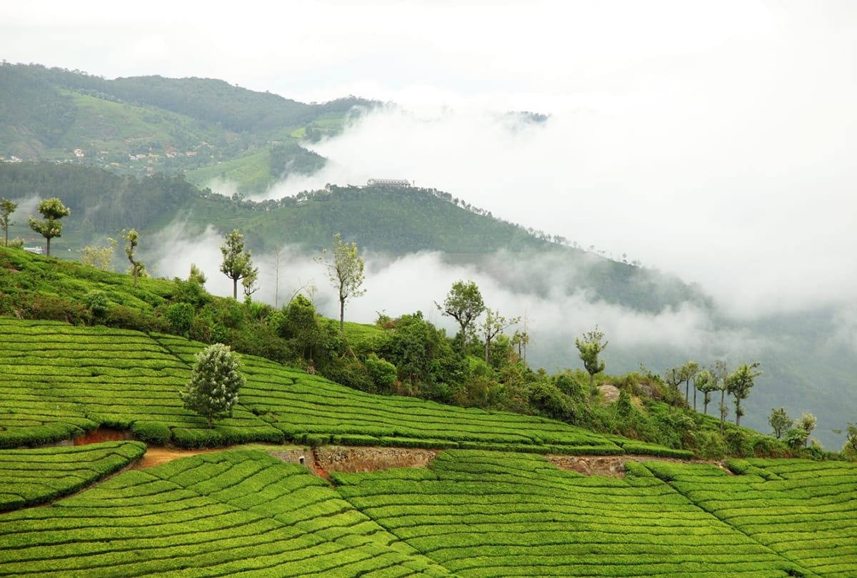 coonoor best tourist destination for solo trip