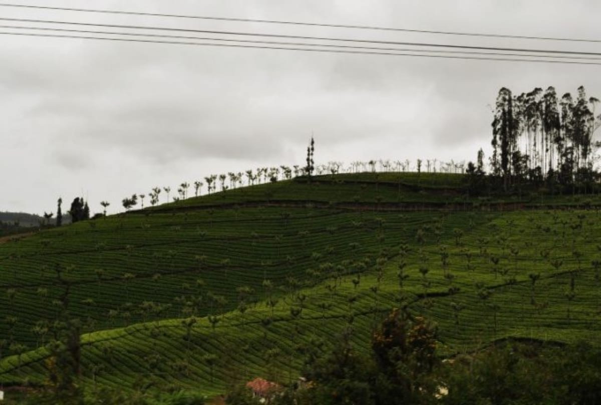 coonoor best tourist destination for solo trip