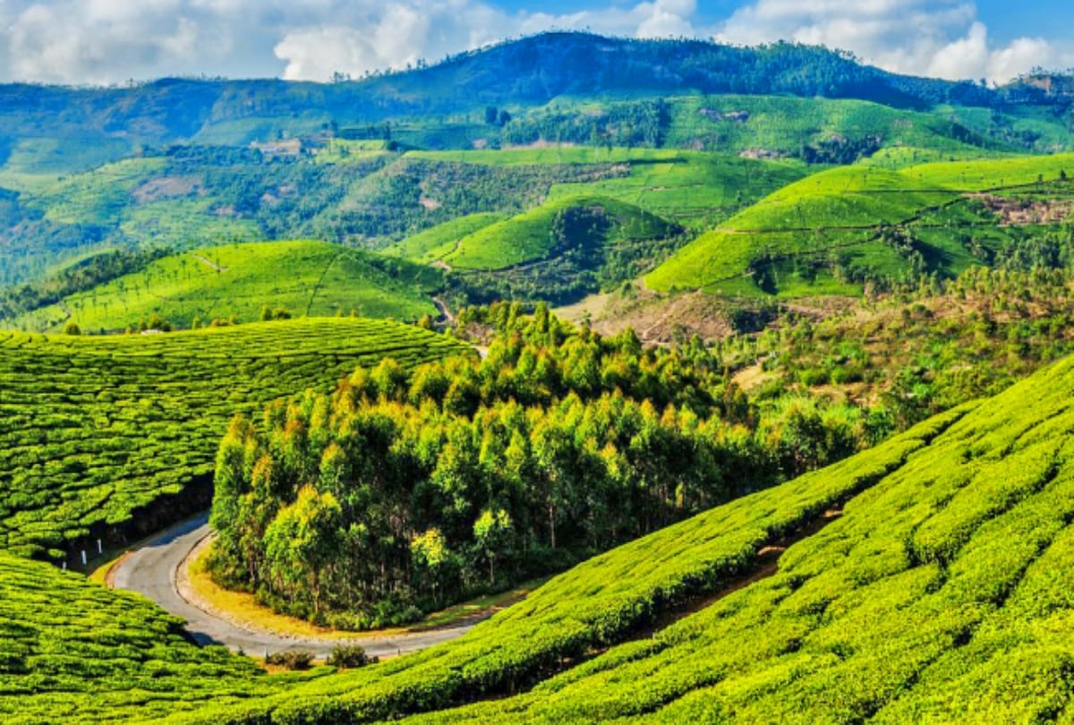 coonoor best tourist destination for solo trip
