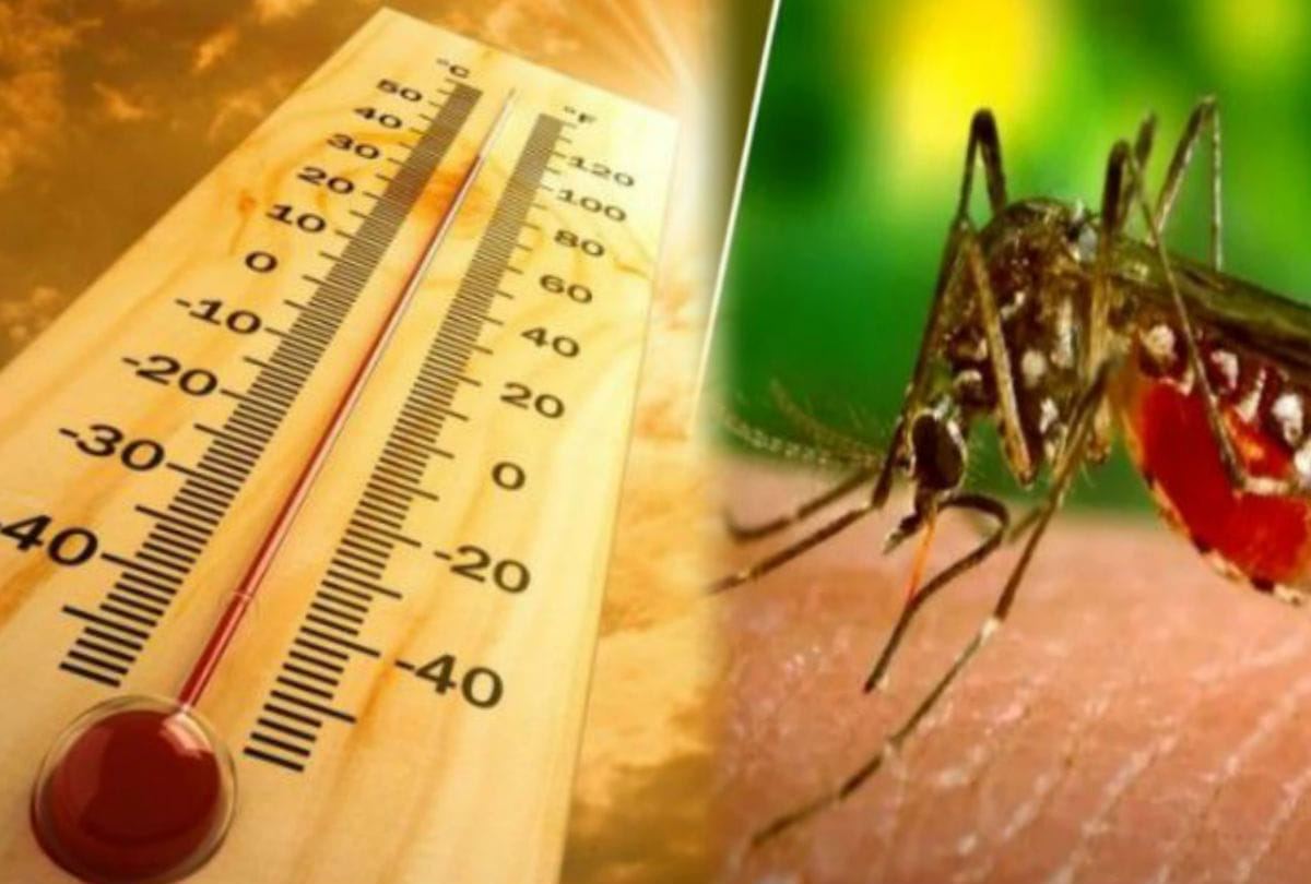 World malaria day malaria symptoms and treatment in hindi