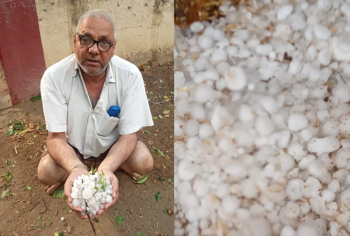 weather update delhi ncr lashes with hailstorm in hapur crops destroyed