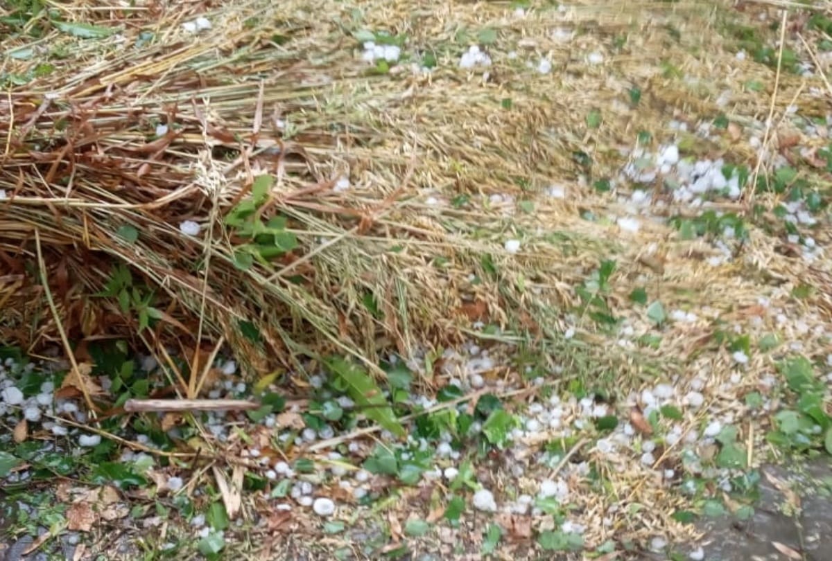 weather update delhi ncr lashes with hailstorm in hapur crops destroyed