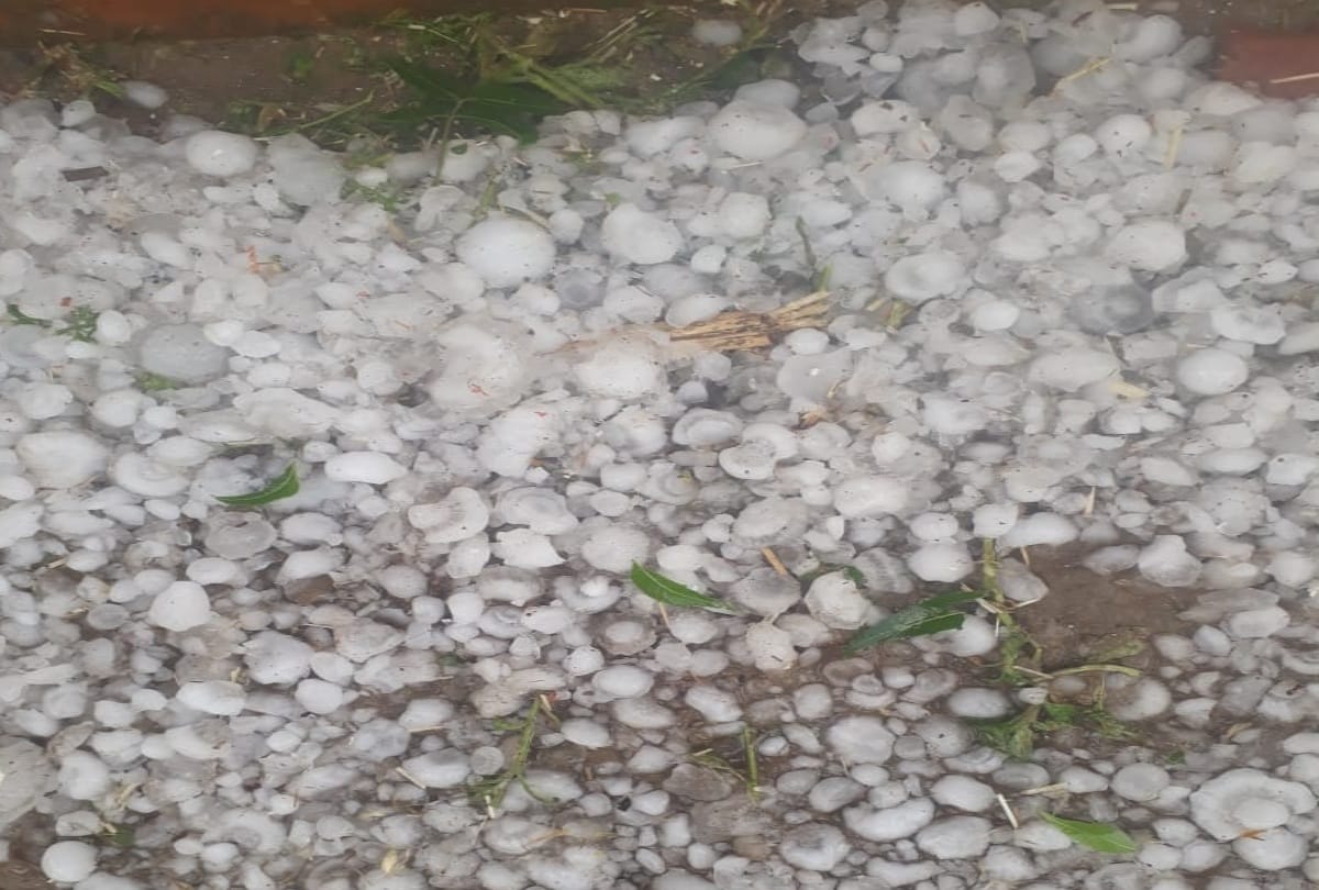 weather update delhi ncr lashes with hailstorm in hapur crops destroyed