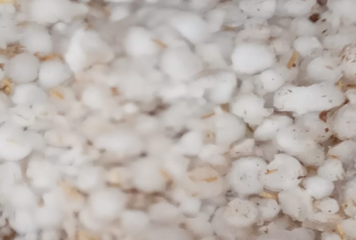 hailstorm and storm warning for himachal