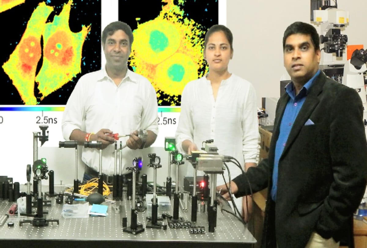 iit mandi: Now it will be easier to identify cancer in a test