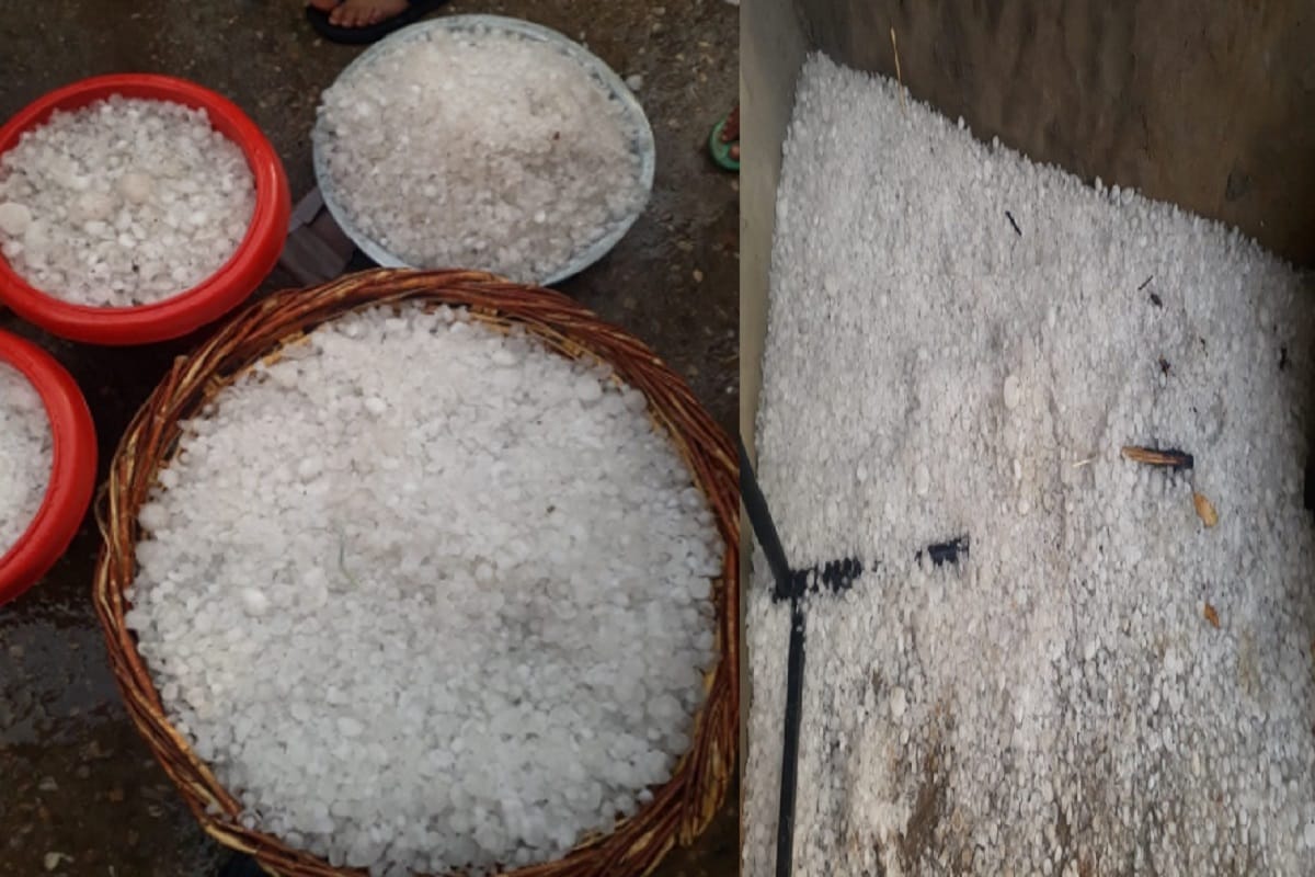Rain and hail in Western UP, the wheat crop of farmers has been damaged