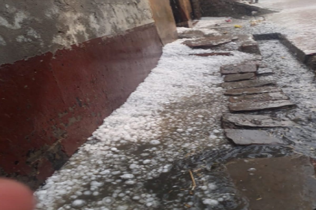 Rain and hail in Western UP, the wheat crop of farmers has been damaged