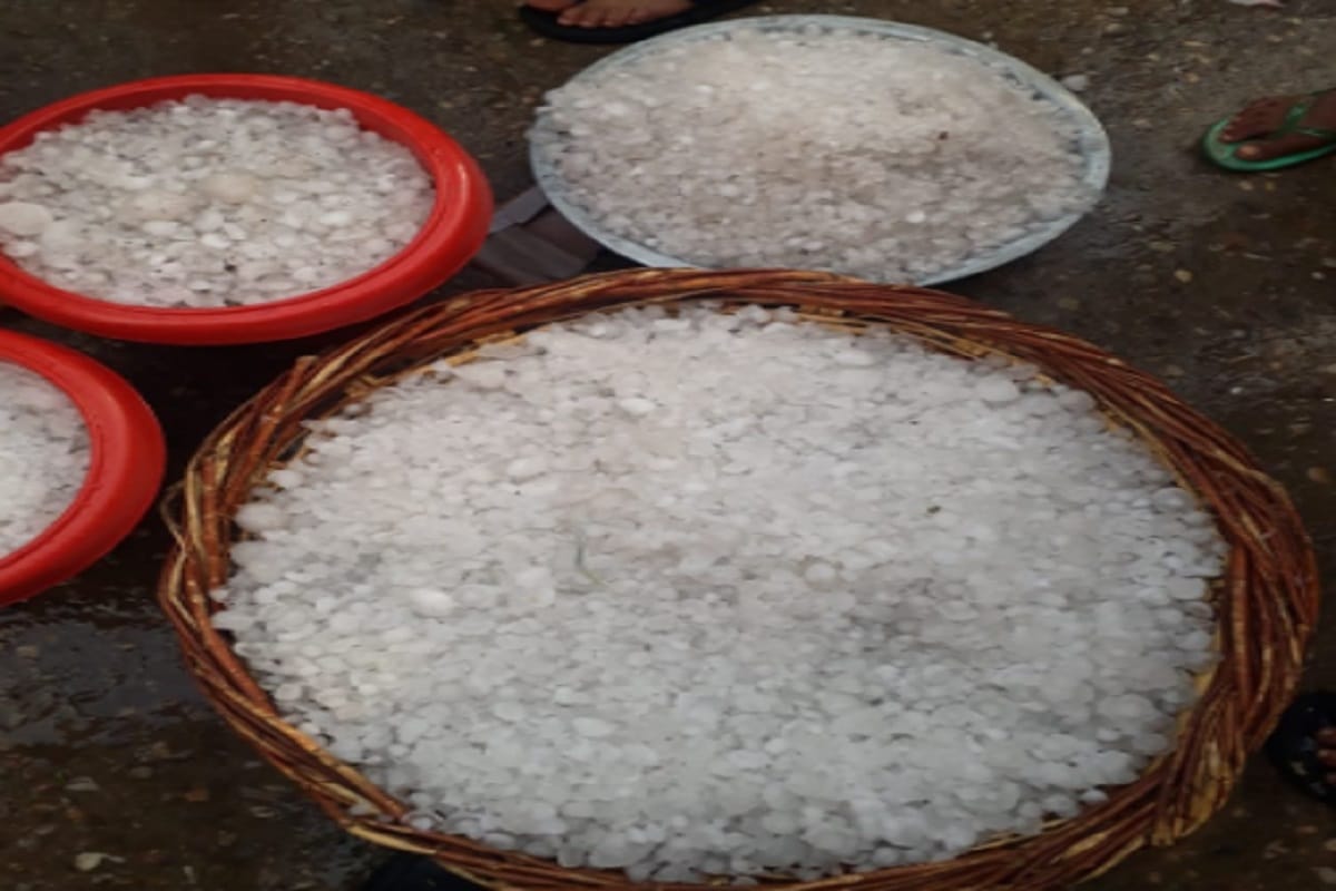 Rain and hail in Western UP, the wheat crop of farmers has been damaged