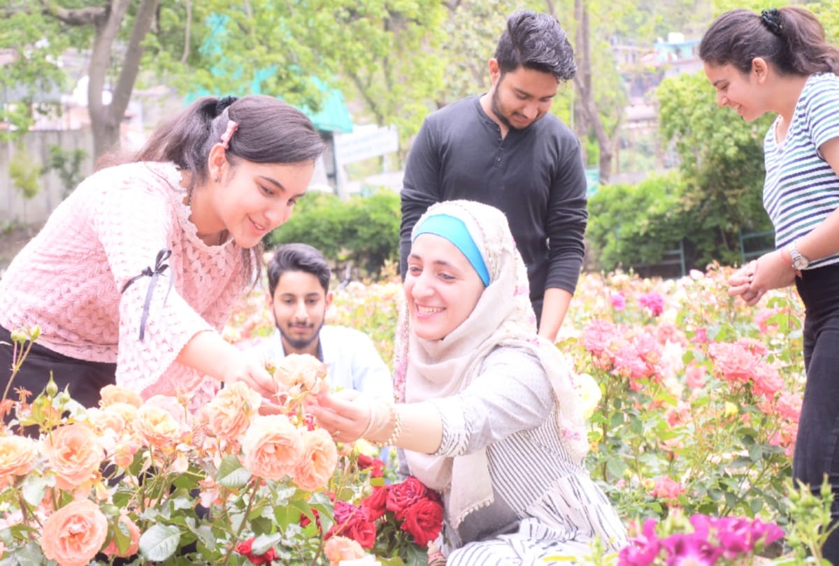 rose festival in Nauni University solan himachal