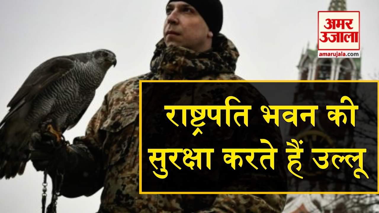 डिजाइन पिक्चर