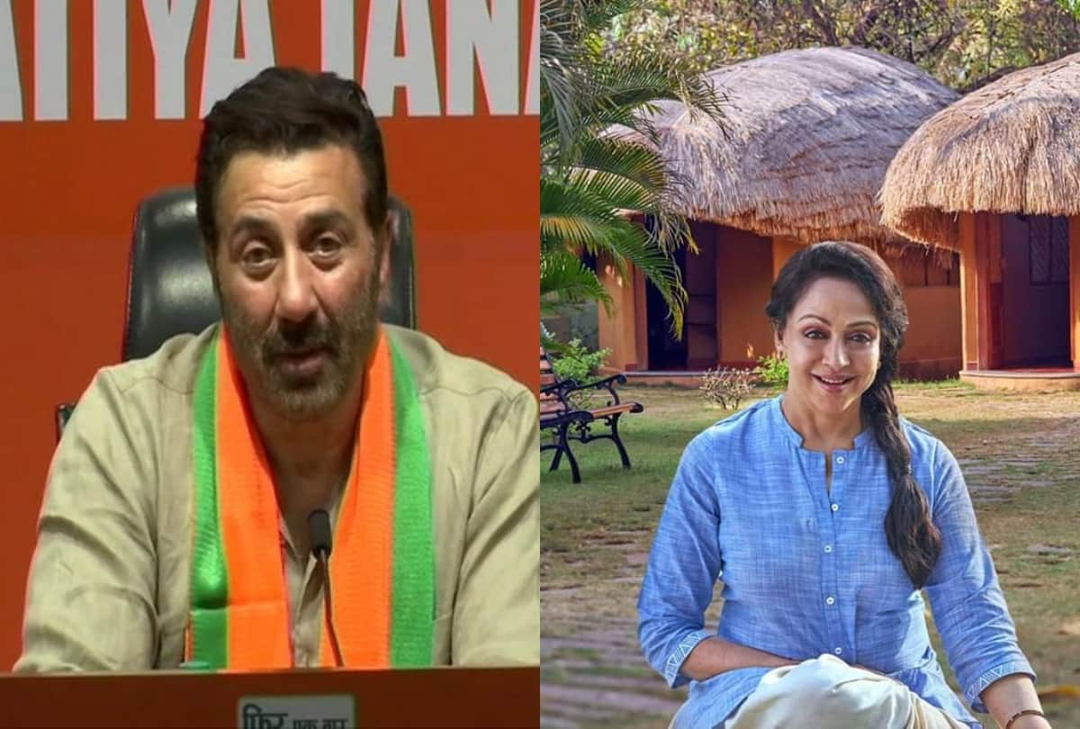 bollywood celebrities reaction after win and lost Lok Sabha elections 2019