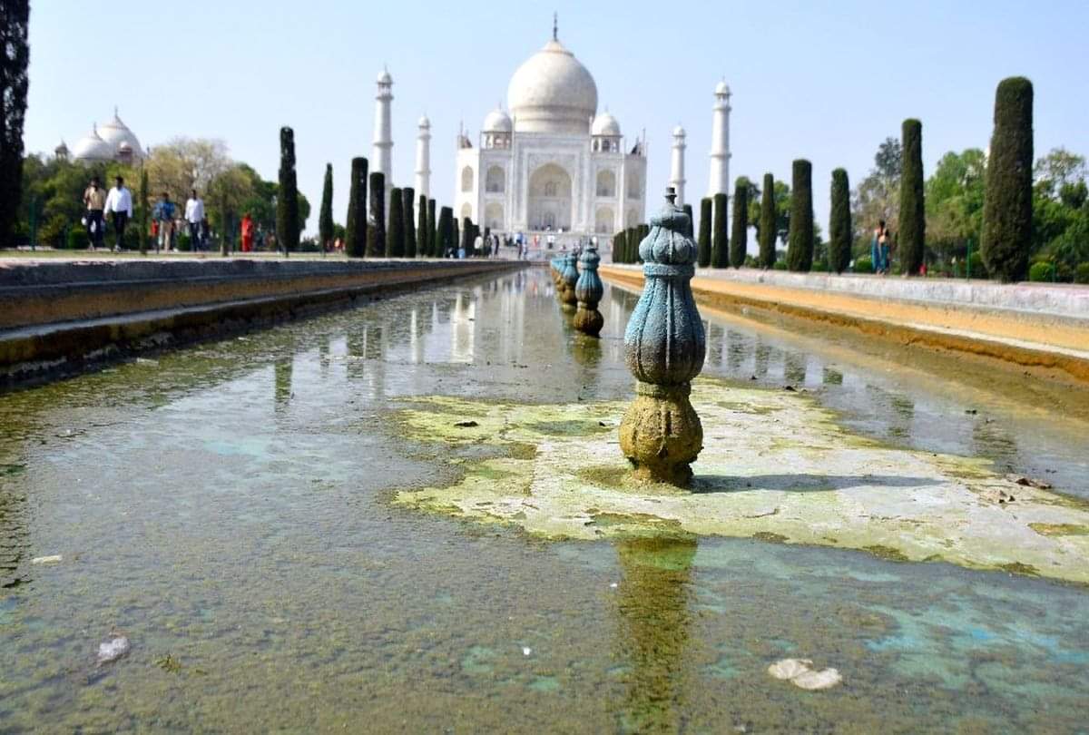 Changing Colours Of Taj Mahal know why Taj is Turning Green